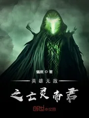 《英雄无敌之亡灵帝君》小说封面