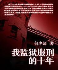 《我监狱服刑的十年》小说封面