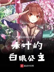 《木叶的白眼公主》封面