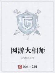 《网游大相师》封面