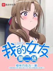 《我的女友是二货》小说封面