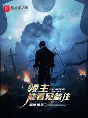 《领主能看见备注》封面
