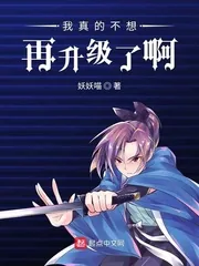 《我真的不想再升级了啊》封面