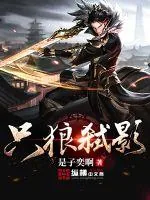 《只狼弑影》封面