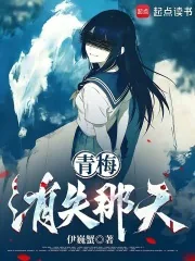 《青梅消失那天》封面