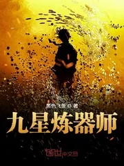 《九星炼器师》小说封面