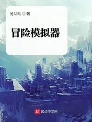《冒险模拟器》小说封面