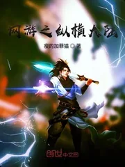 《网游之纵横大陆》封面