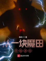 《从一块魔田开始进化》小说封面