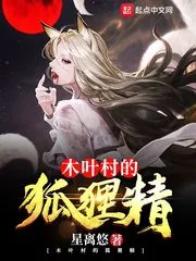 《木叶村的狐狸精》封面