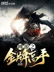 《网游之金牌高手》封面