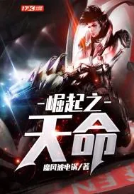 《崛起之天命》封面
