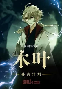 《木叶补完计划》封面
