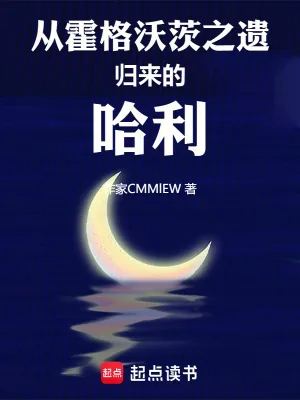 《从霍格沃茨之遗归来的哈利》封面