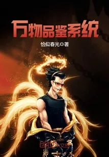 《万物品鉴系统》封面