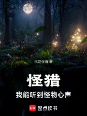 《怪猎:我能听到怪物心声》小说封面