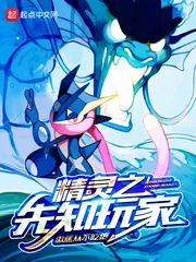 《精灵之先知玩家》封面