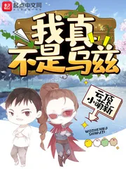 《我真不是乌兹》封面