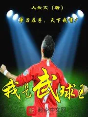 《我是武球王》封面
