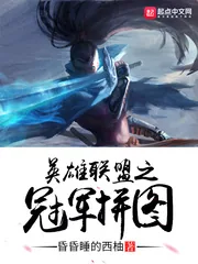 《英雄联盟之冠军拼图》封面