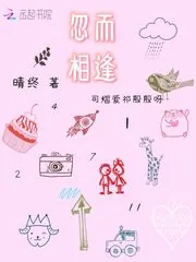 《忽而相逢》封面