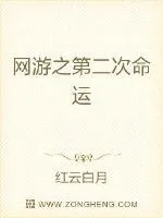 《网游之第二次命运》封面