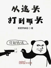 《从这头打到那头》封面