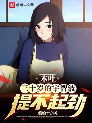 《木叶:三十岁的宇智波提不起劲》小说封面