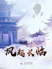 《凤起长临》封面