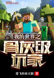 《我的世界之骨灰级玩家》封面