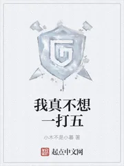 《我真不想一打五》封面