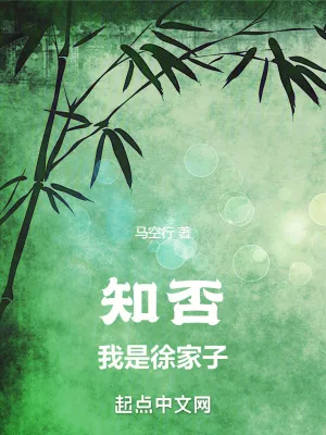《知否：我是徐家子》小说封面