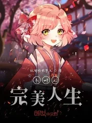 《木叶之完美人生》封面