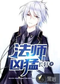 《法师凶猛》封面