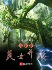《从封印美女开始》封面