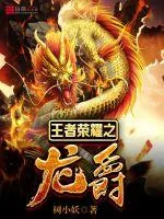 《王者荣耀之龙爵》封面