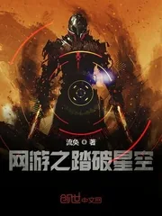 《网游之踏破星空》封面