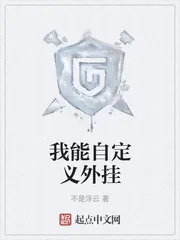 《我能自定义外挂》封面