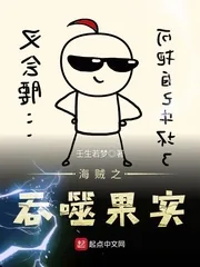 《海贼之吞噬果实》小说封面