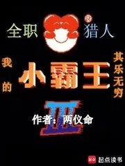 《全职猎人:我的小霸王其乐无穷》小说封面