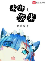 《木叶之悠米》小说封面