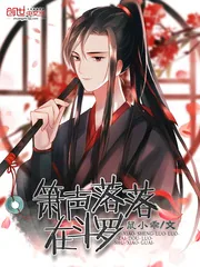 《箫声落落在斗罗》封面
