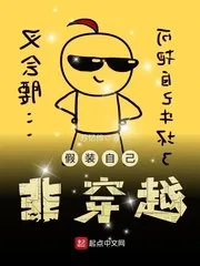 《假装自己非穿越》封面