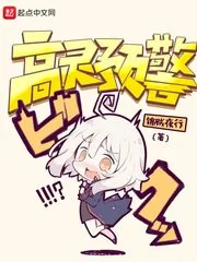 《高灵预警》封面