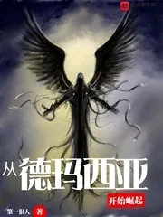 《从德玛西亚开始崛起》封面