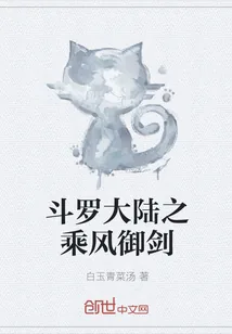 《斗罗大陆之乘风御剑》小说封面