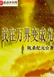 《我在万界变成光》封面