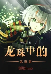 《龙珠中的武道家》封面