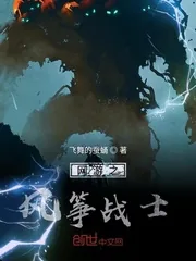 《网游之风筝战士》封面