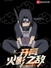《开局火影之敌》封面
